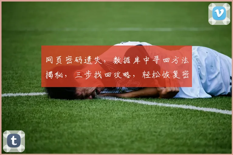 网页密码遗失，数据库中寻回方法揭秘，三步找回攻略，轻松恢复密码